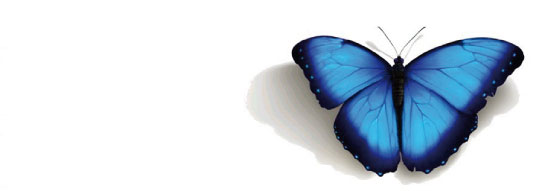 Mariposa azul