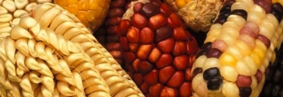 Corazón de maíz y chocolate