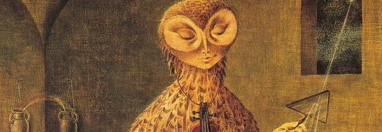 La creación de las aves